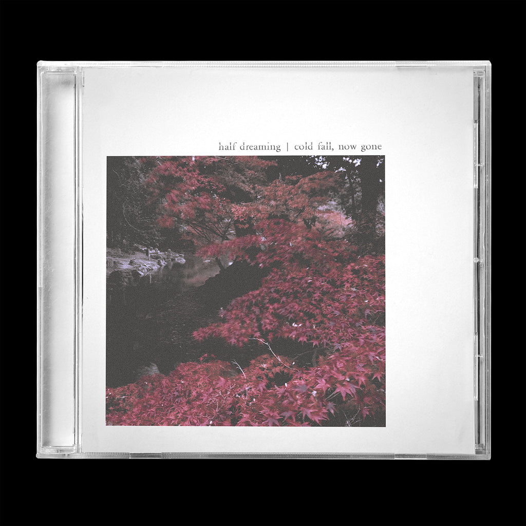 Cold Fall, Now Gone - CD