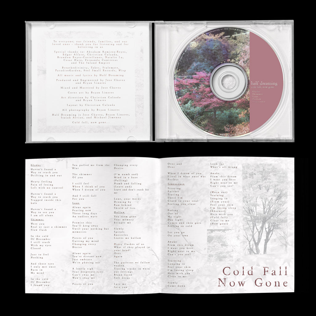 Cold Fall, Now Gone - CD